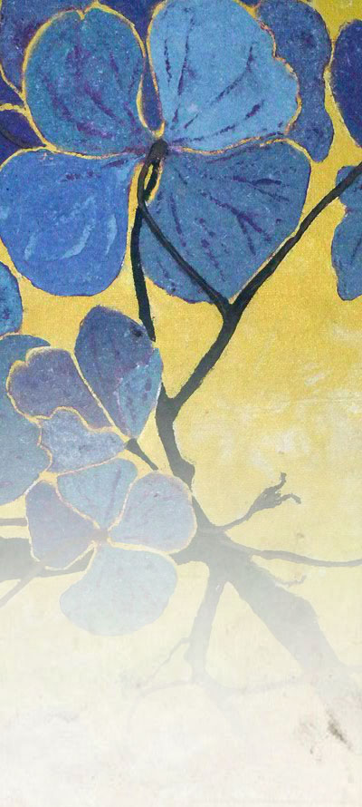 Praktijk van Geenen - Acupunctuur en Shiatsu - Meppel en Hoogeveen